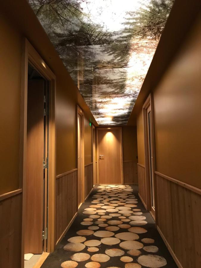 Hotel Lapiaz & Spa - Flaine Zewnętrze zdjęcie
